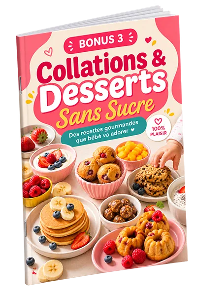 Collations & Desserts Sans Sucre